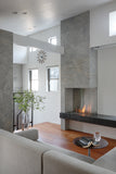 XL500 Ethanol Burner - EcoSmart Fire